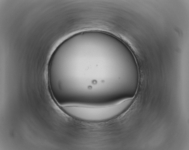 X0000111911516200908031127