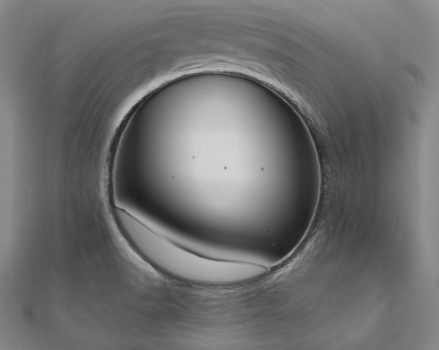 X0000111911518200908031127