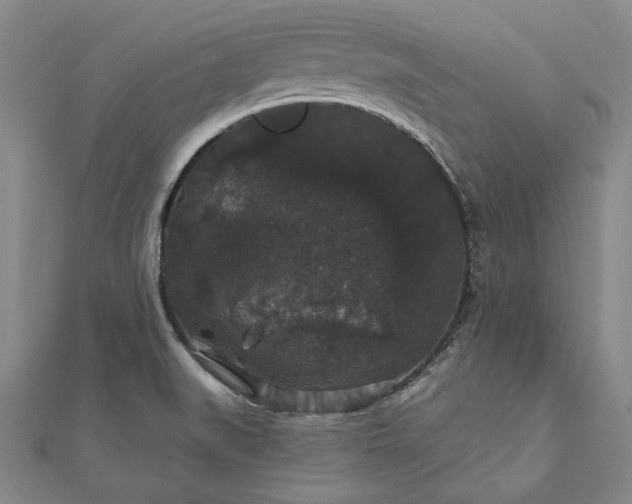 X0000111911519200908031127