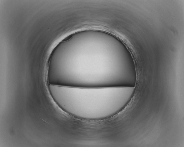 X0000111911520200908031127