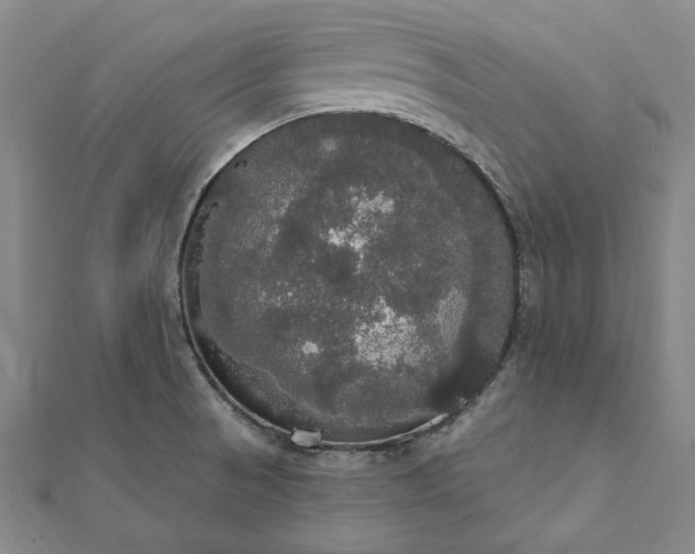 X0000111911521200908031127