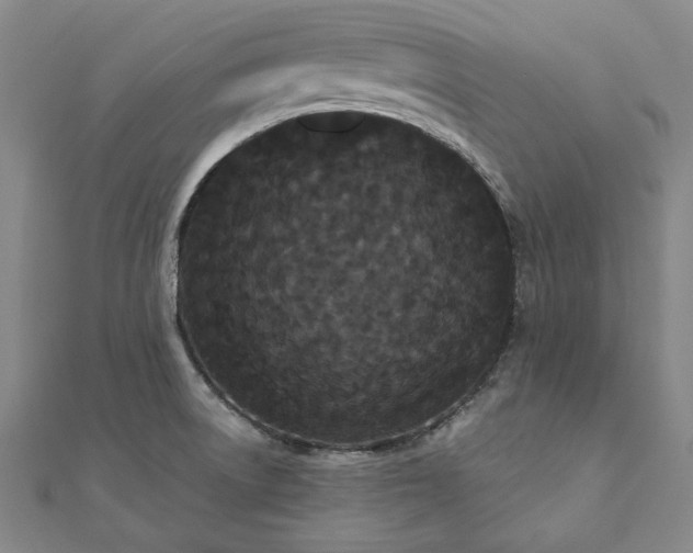 X0000111911522200908031127