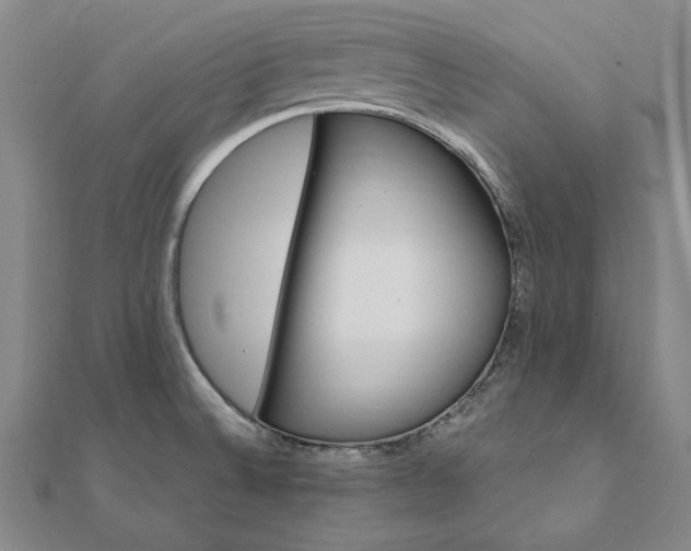 X0000111911524200908031127