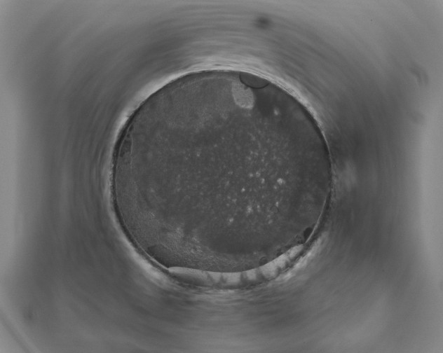 X0000111911525200908031127