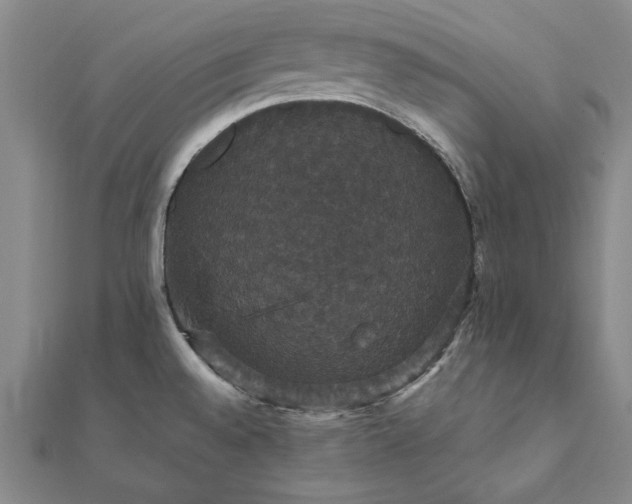 X0000111911528200908031127