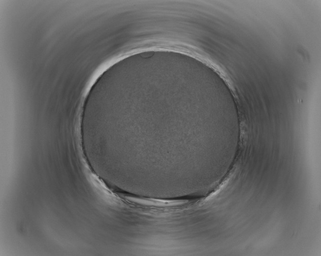 X0000111911530200908031127