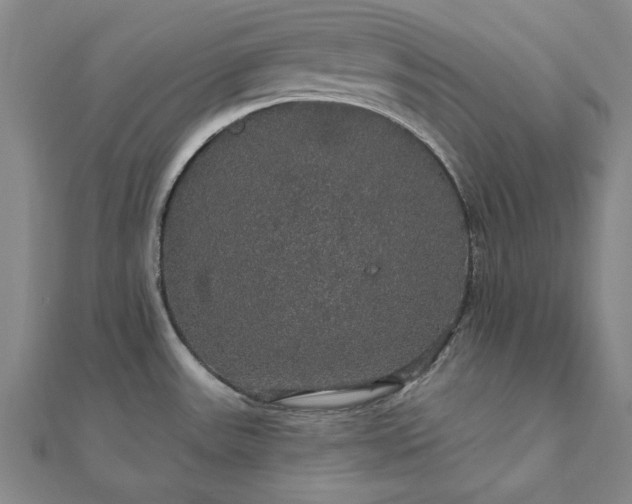 X0000111911531200908031127