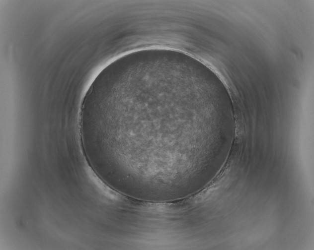 X0000111911532200908031127