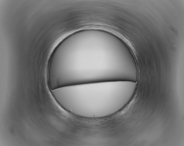 X0000111911533200908031127