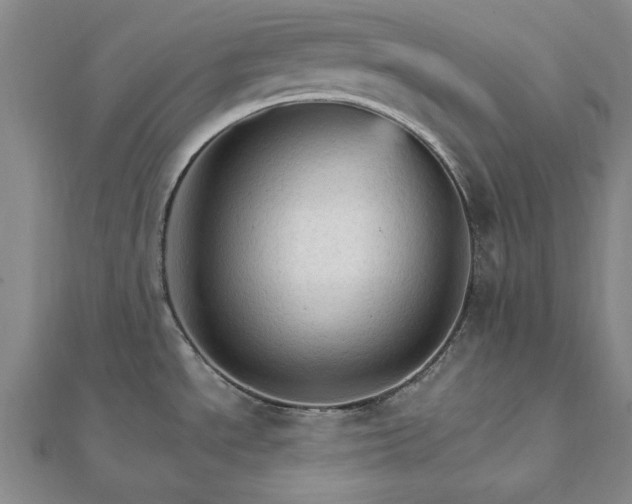 X0000111911534200908031127