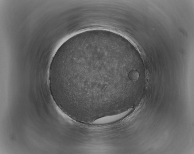 X0000111911535200908031127