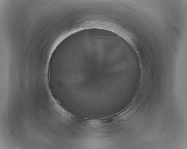 X0000111911536200908031127