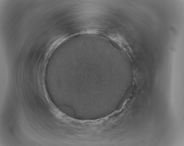 X0000111910001200908101210