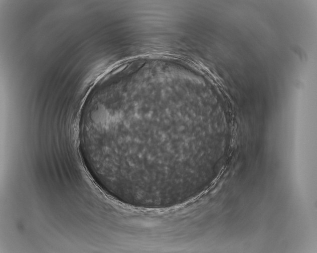 X0000111910002200908101210