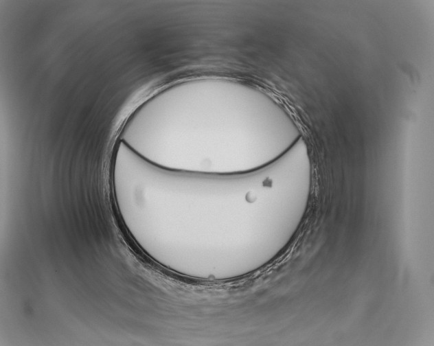 X0000111910004200908101210