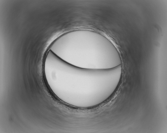 X0000111910008200908101210