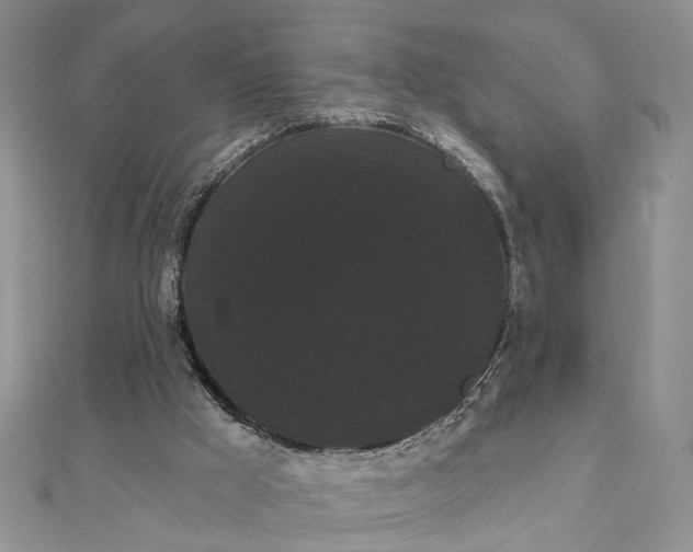 X0000111910009200908101210