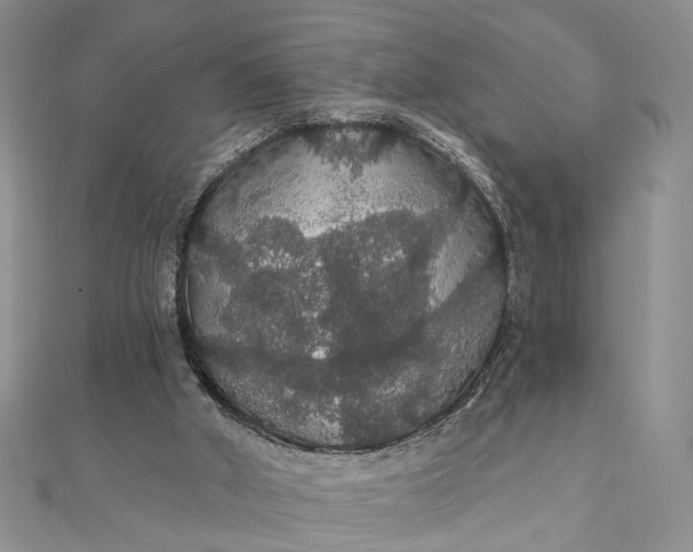 X0000111910010200908101210