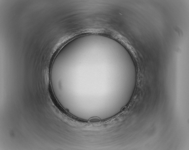 X0000111910011200908101210