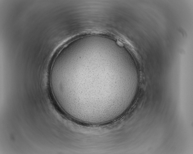 X0000111910012200908101210