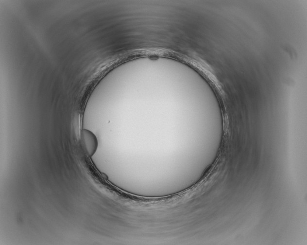 X0000111910013200908101210