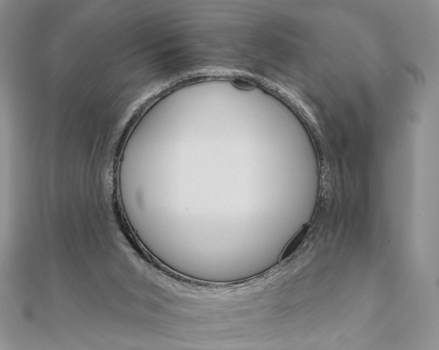 X0000111910015200908101210