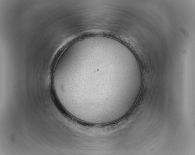 X0000111910016200908101210