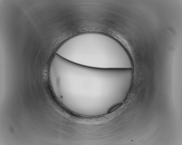 X0000111910017200908101210