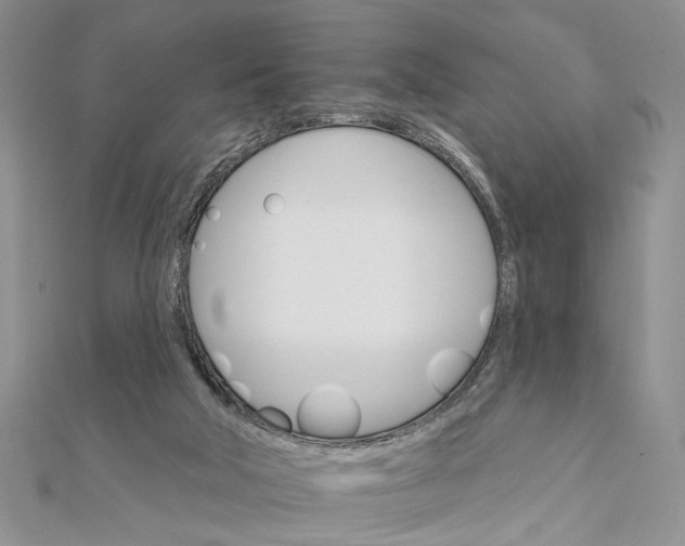 X0000111910018200908101210