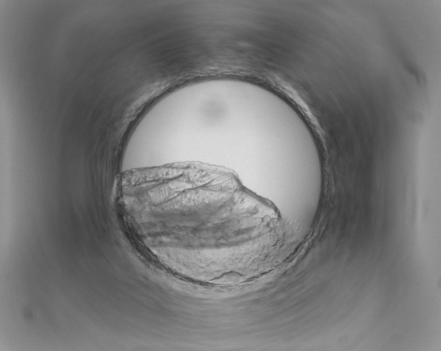 X0000111910019200908101210