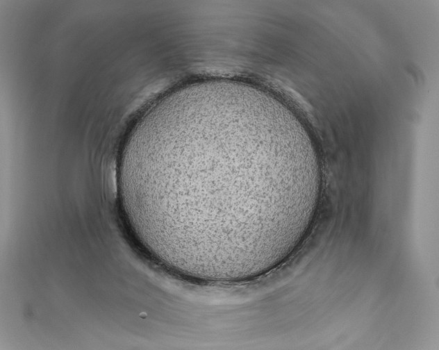 X0000111910020200908101210