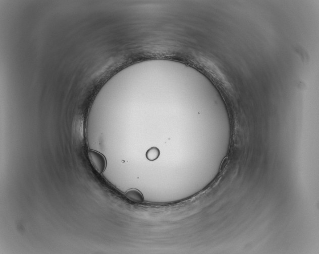 X0000111910021200908101210