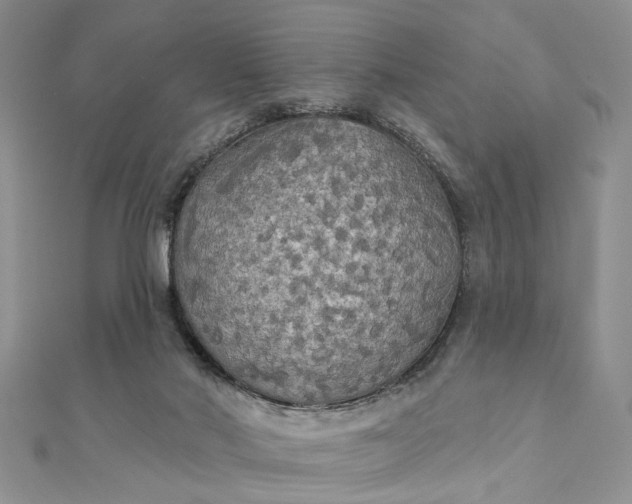 X0000111910022200908101210