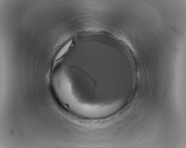 X0000111910023200908101210