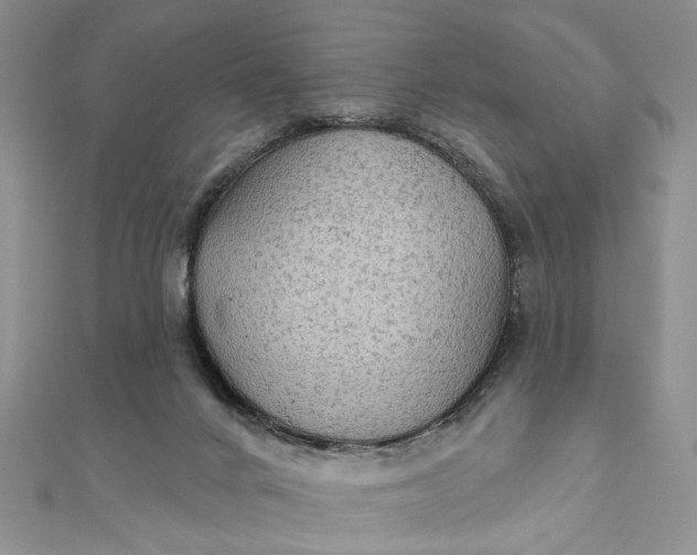 X0000111910024200908101210