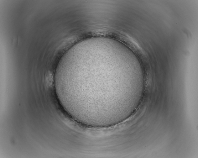 X0000111910025200908101210