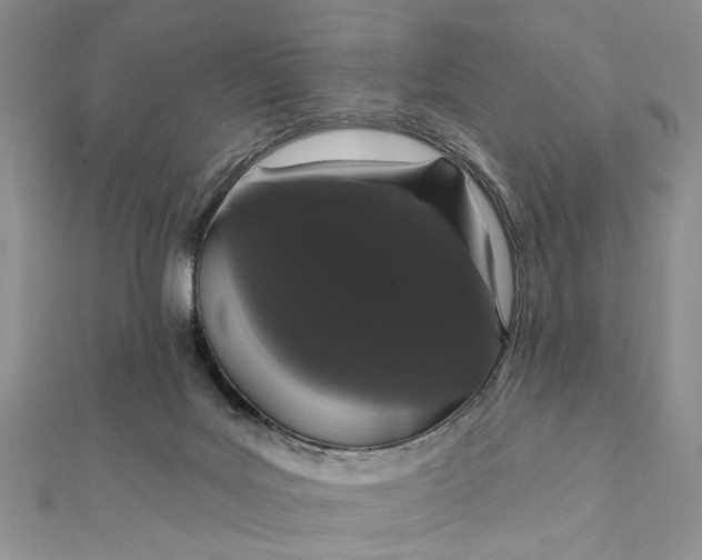 X0000111910027200908101210