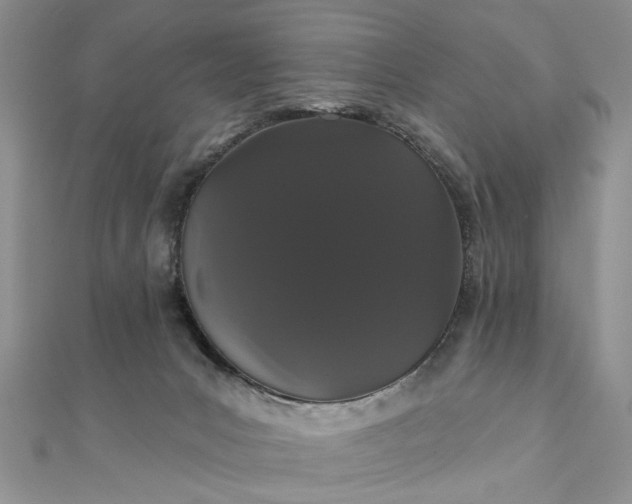 X0000111910031200908101210