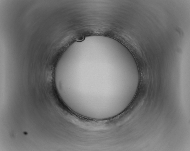 X0000111910032200908101210