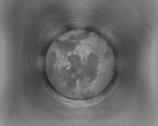 X0000111910034200908101210