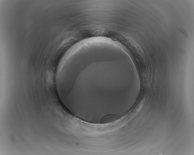 X0000111910035200908101210