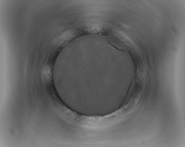 X0000111910037200908101210