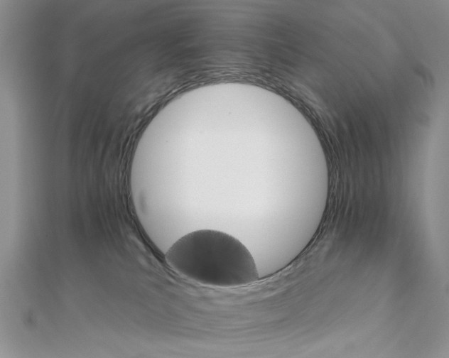 X0000111910039200908101210