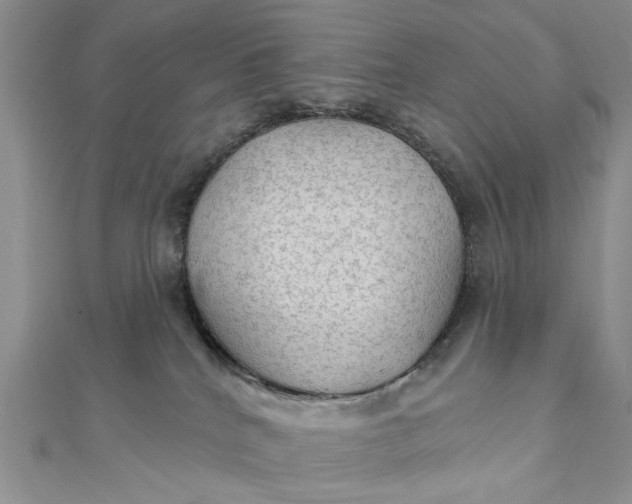 X0000111910040200908101210