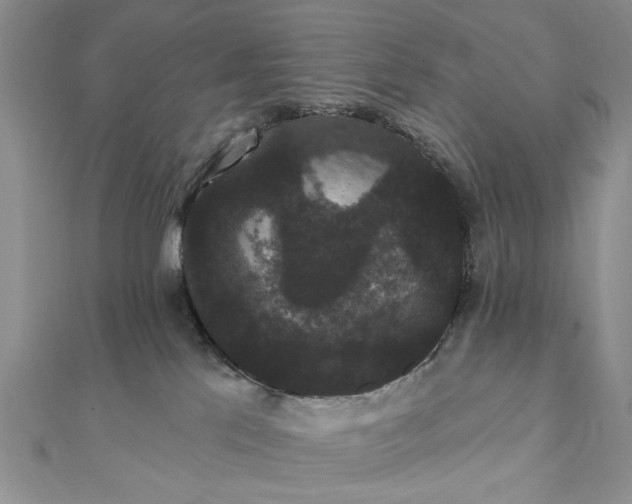 X0000111910041200908101210