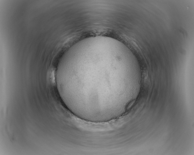 X0000111910042200908101210