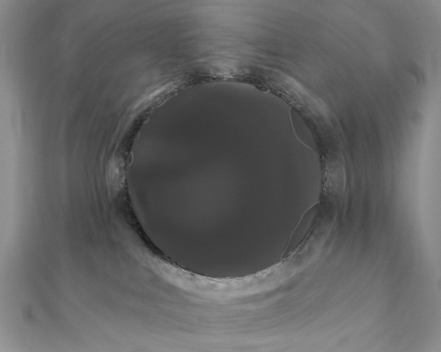 X0000111910043200908101210