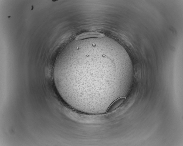 X0000111910044200908101210