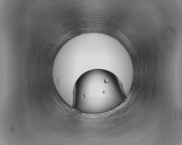 X0000111910045200908101210