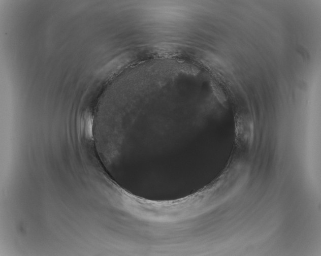 X0000111910046200908101210